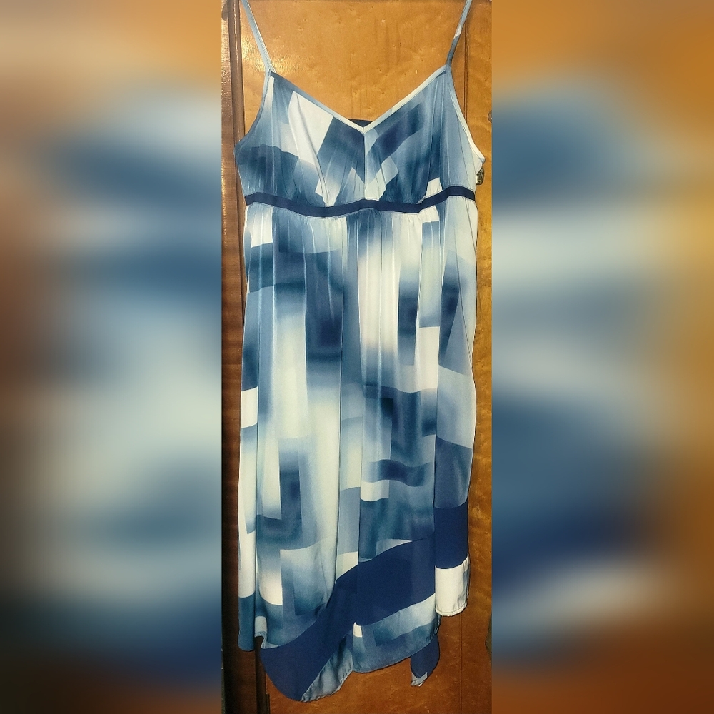 Simply Vera Vera Wang Navy and Cream Dress